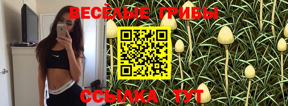 Псилоцибиновые грибы Psilocybine cubensis Родники